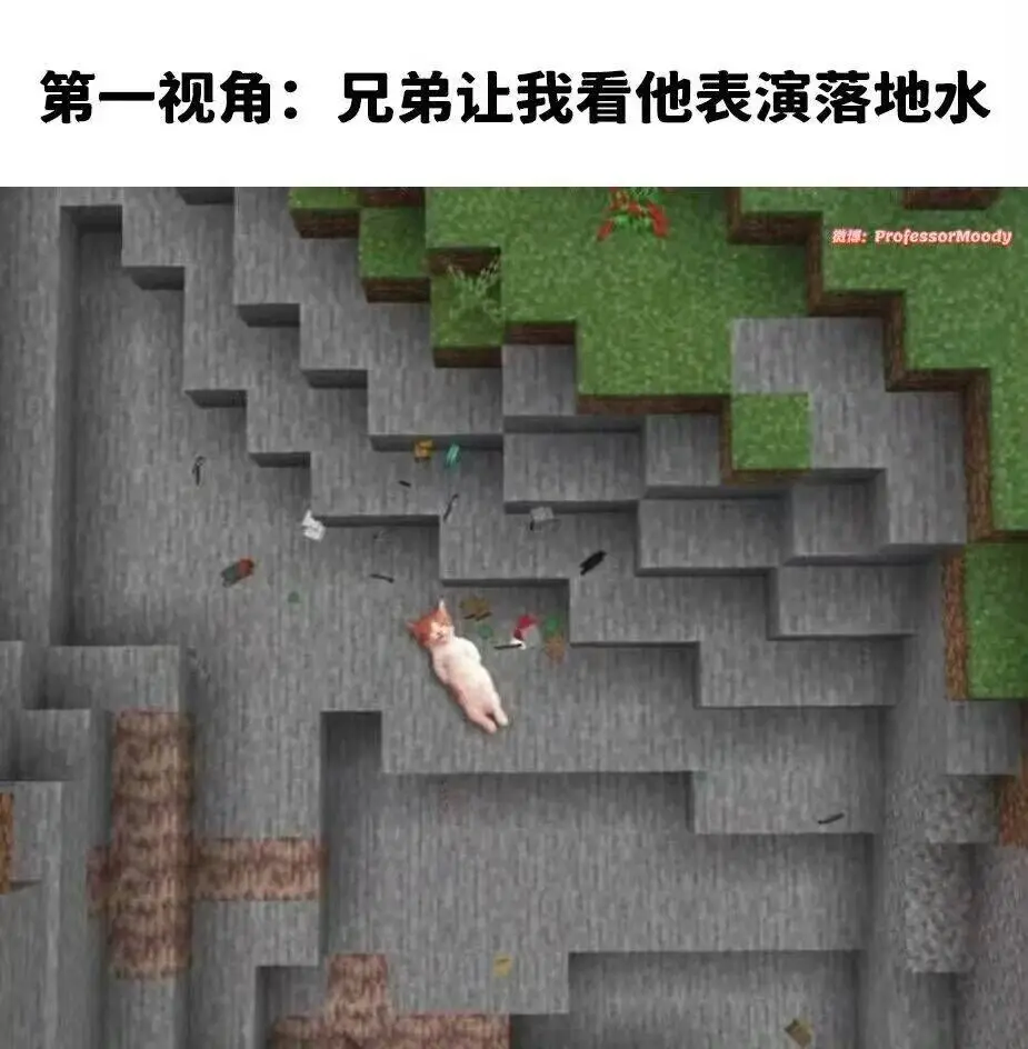 1dd1fe6611506c5ce5b2b245f0acc50b.jpg