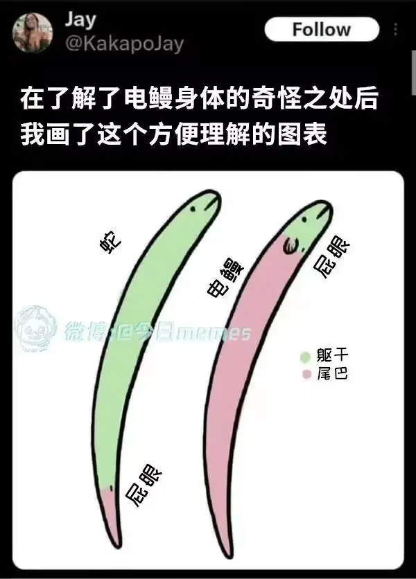 723f00d2c741cdce58f21f5bd31f41c2.jpg